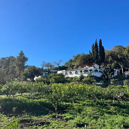 شقة Arcos Del Laurel